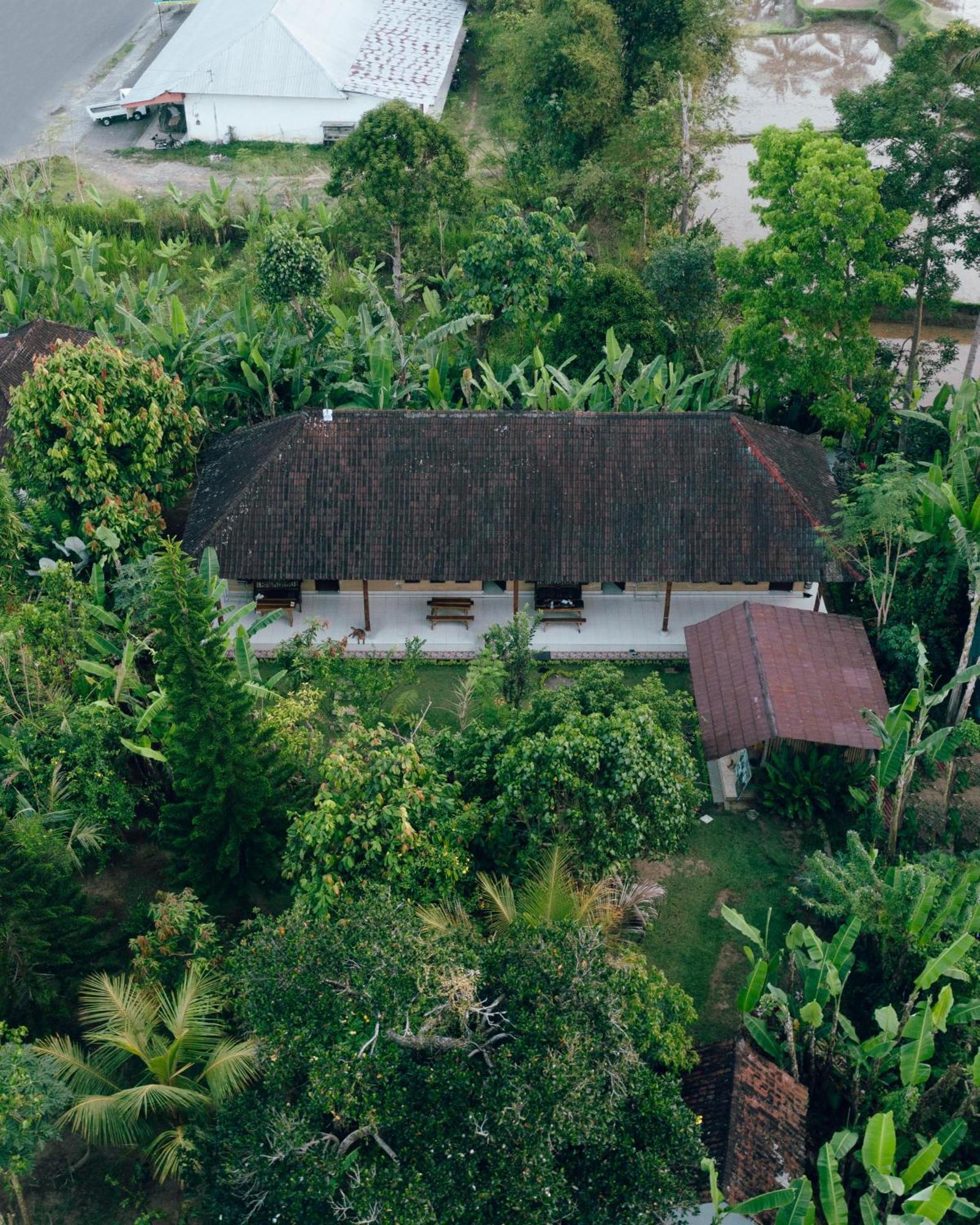 Bucu Hidden Guest House, And Meditation Center Payangan Exteriör bild